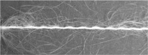 loop yarn